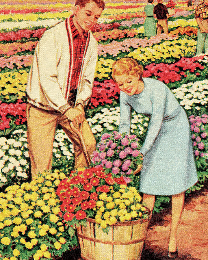 Vintage Drawing - People Harvesting Flowers by CSA Images