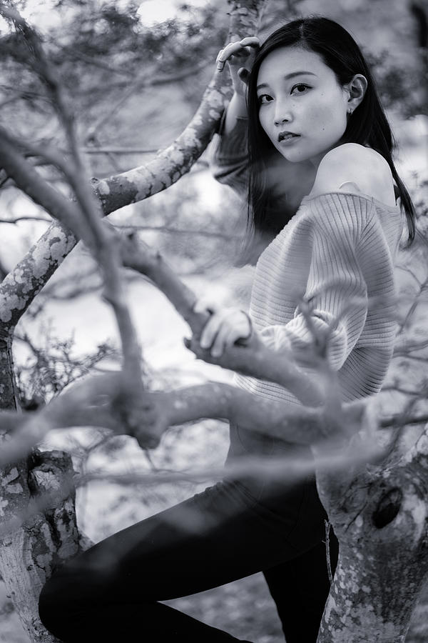 Portrait Photograph - People In The Grove by Yoshihisa Nemoto