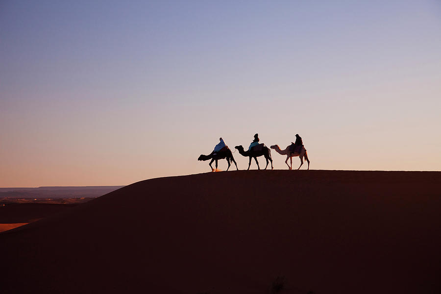 People Riding Camels, Morocco Photograph by Keita Sawaki/a.collectionrf