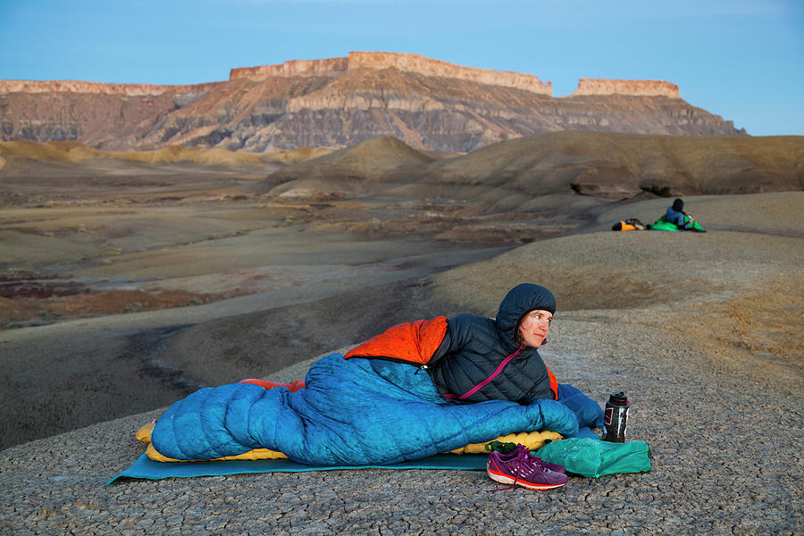 Bighorn Sheep Ewe Keeps Watch at Sunset in Badlands National Park