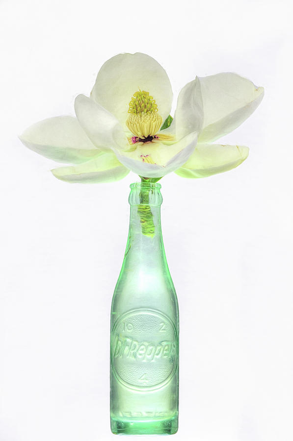 Pepper And Magnolia Still Life Digital Art by JC Findley