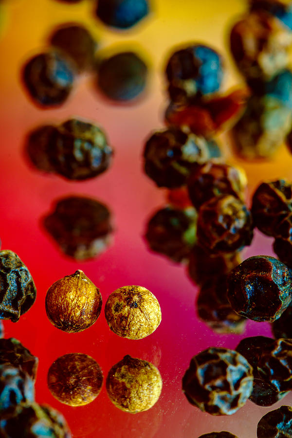Peppercorns Photograph by John Bauer