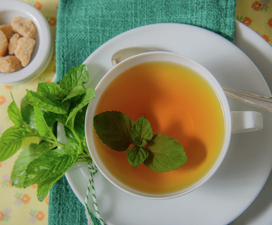 Peppermint Tea With Peppermint Leaves Photograph by Katrin Benary