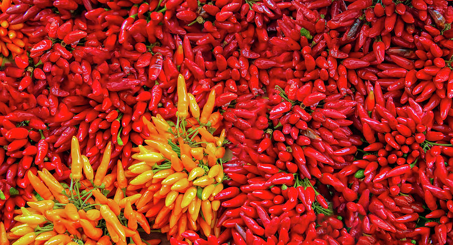 Peppers Galore Photograph by Gary Slawsky