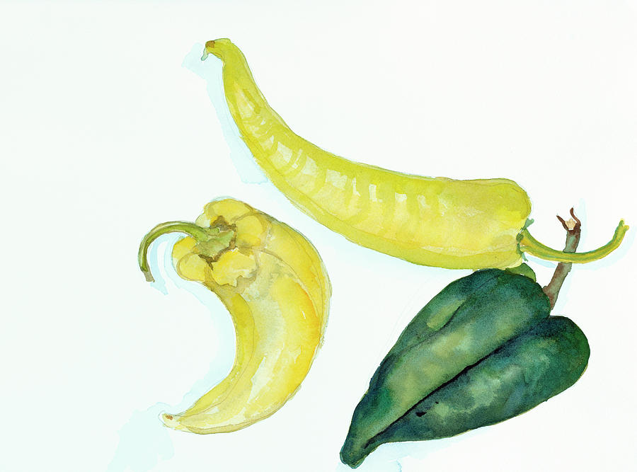Hot Peppers Painting - Peppers Hot And Cool by Joanne Porter