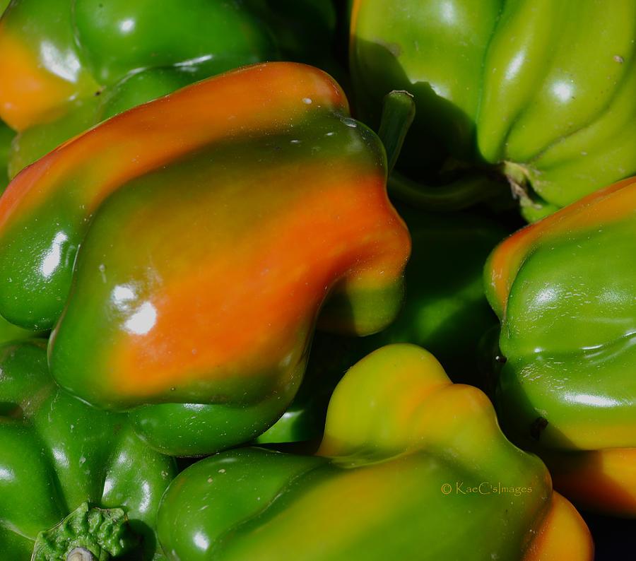 Peppers Photograph by Kae Cheatham