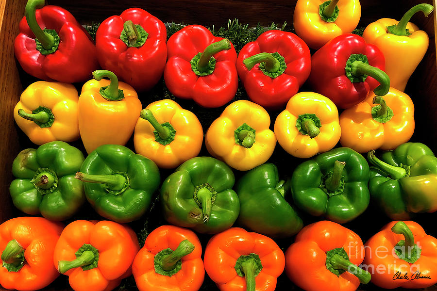 Peppers - Red, Yellow, Green, Orange Photograph by Charles Abrams