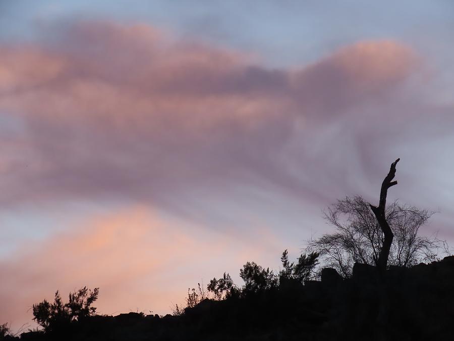 Perch Silhouetted by Sunset Virga Photograph by Judy Kennedy