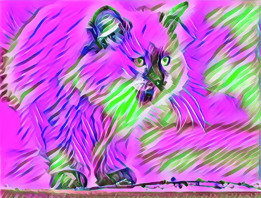 Perched Kitten Pink Digital Art by Don Northup