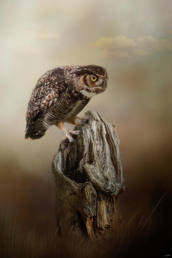 Perching In Anticipation Photograph by Jai Johnson Perching In Anticipation Photograph by Jai Johnson