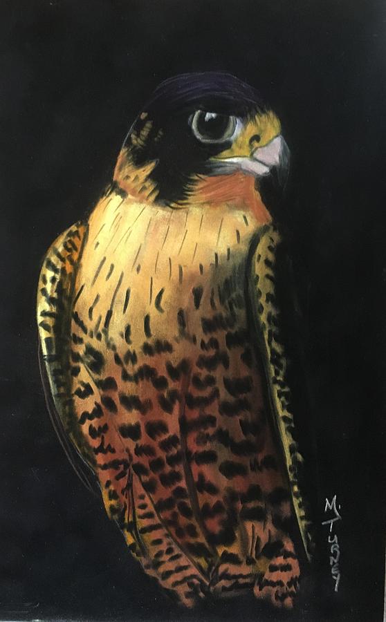 Peregrine Falcon Pastel by Michele Turney