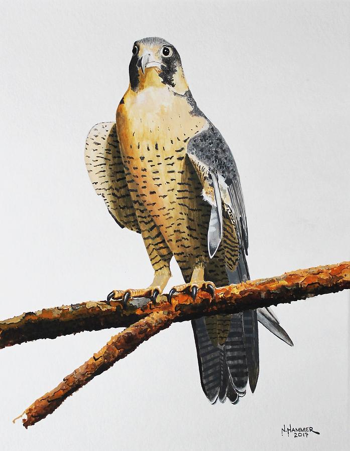 Peregrine Falcon with a Broken Wing Painting by Nelson Hammer | Fine ...