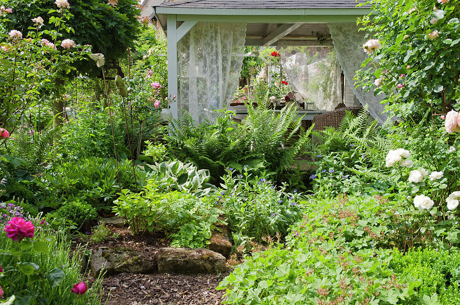 Perennial Bed With Ferns, Hostas And Cranesbills In Front Of A Wooden Pavilion Photograph by Gudrun Itt