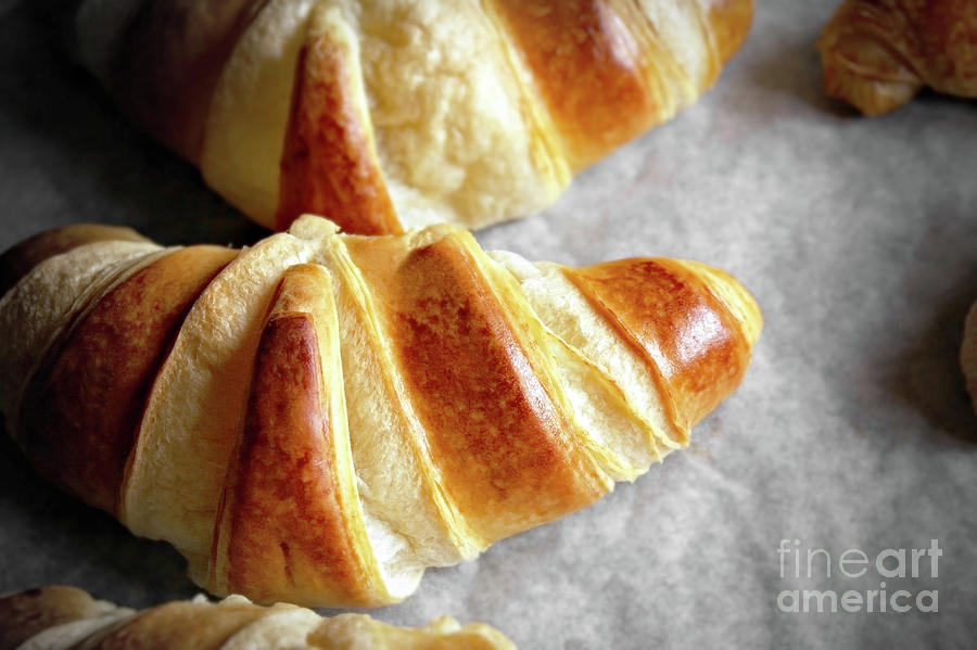 Perfect Croissants Photograph by Gregory DUBUS