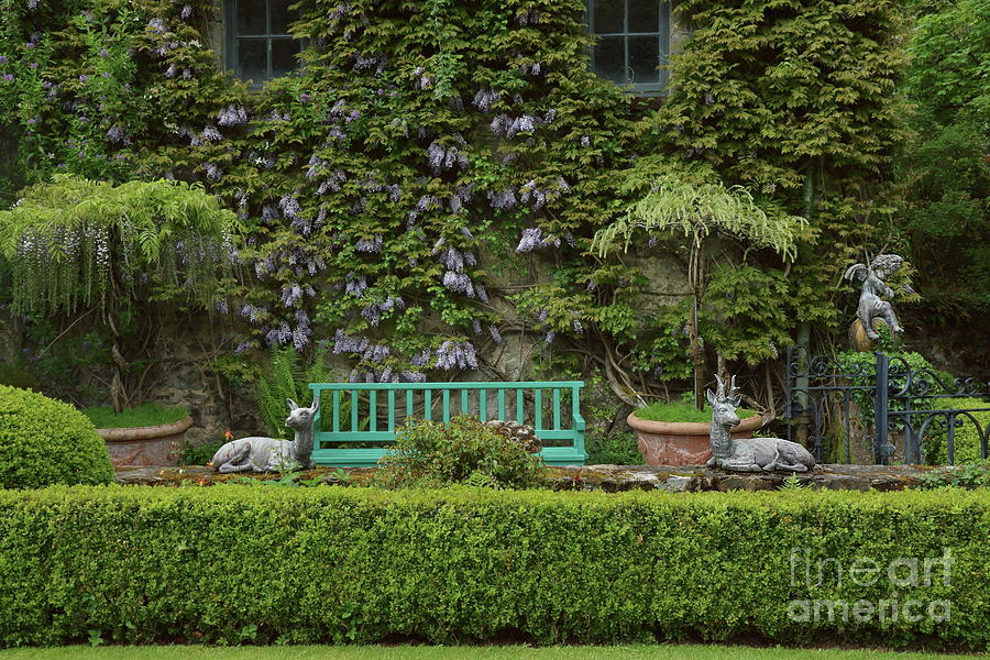 Perfect Garden by Peter Skelton Perfect Garden by Peter Skelton