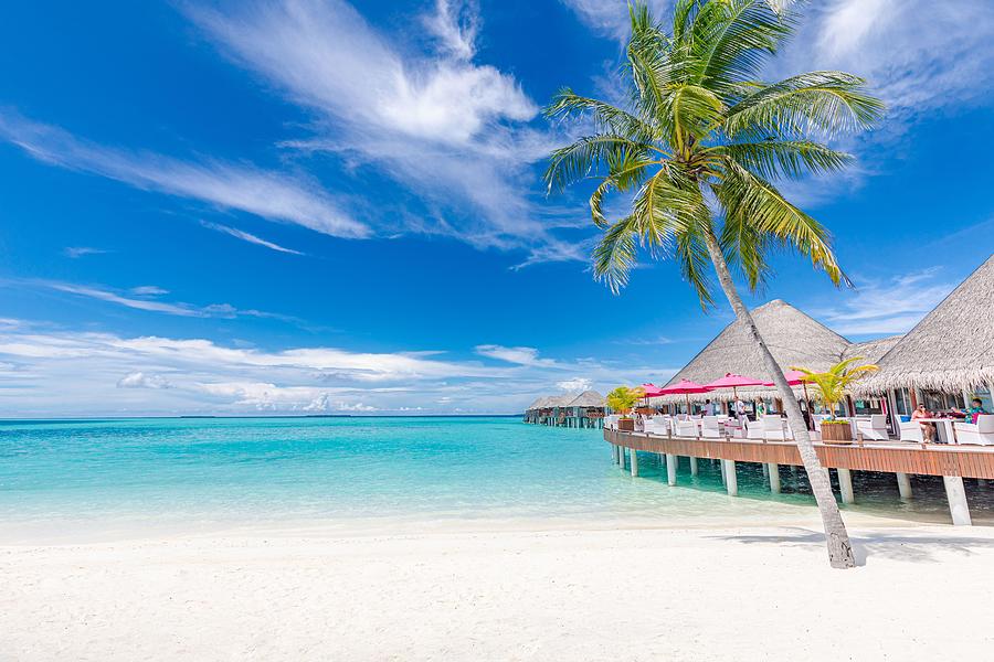 Summer Photograph - Perfect Maldives Beach Landscape Palm by Levente Bodo