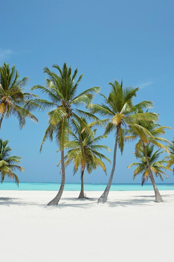 Perfect Paradise - Caribbean Series Photograph by Caracterdesign