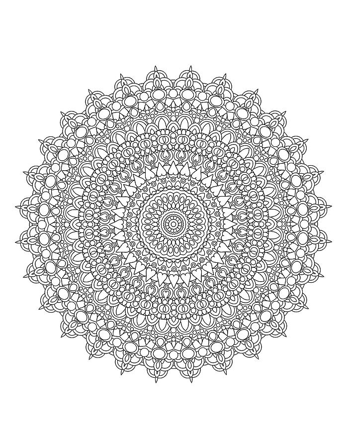 World Cultures Drawing - Perfect Pastels Mandala by Kathy G. Ahrens