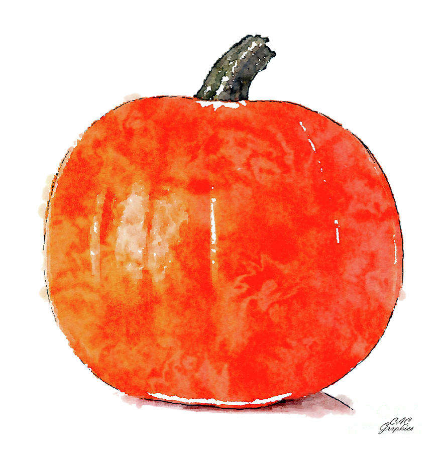 Simple Pumpkin Digital Art by CAC Graphics