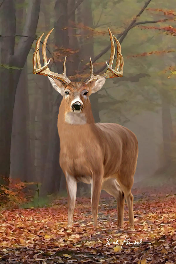buck deer