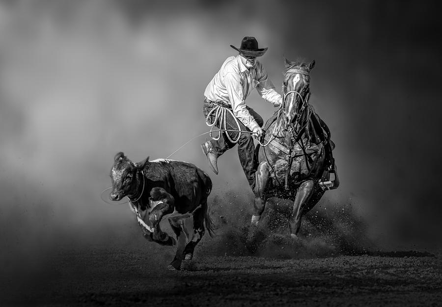 Horse Photograph - Perfect Tie-down Roping by Irene Yu Wu