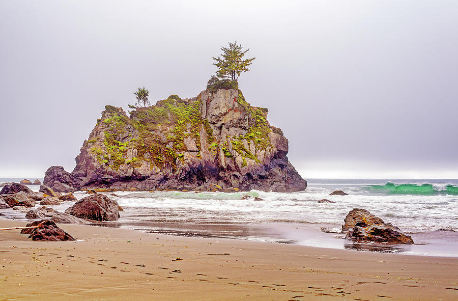 Perfectly Hidden Beach Northern California Coast Photograph by Joseph S Giacalone