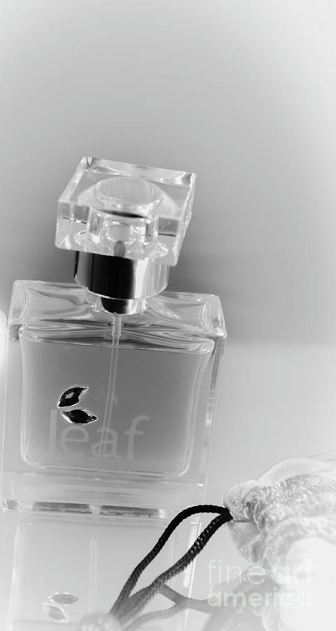 Perfume Photograph by Jenny Potter