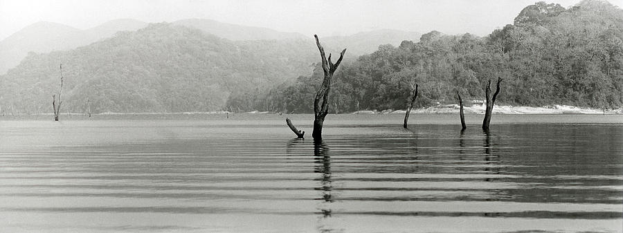 Periyar Lake Photograph by Kontrast-fotodesign