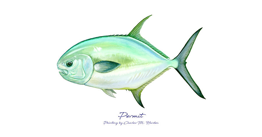Permit Painting by Charles Harden
