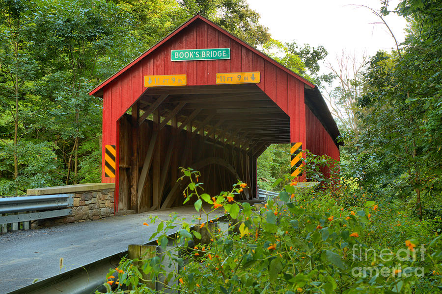 Perry County Books Covered Bridge Photograph by Adam Jewell