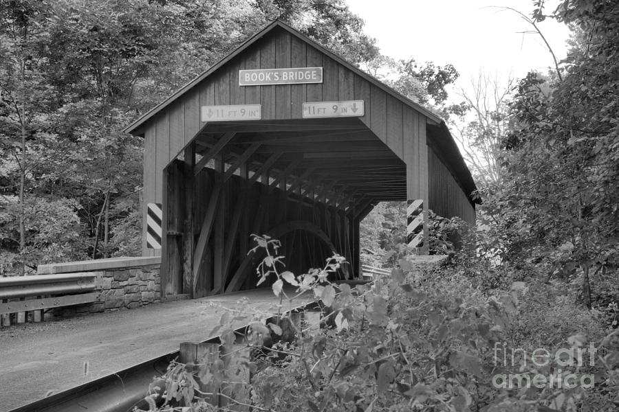 Perry County Books Covered Ridge Black And White Photograph by Adam Jewell