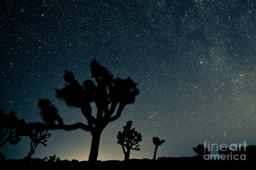 National Park Photograph - Perseid Meteor Shower by Kesterhu National Park Photograph - Perseid Meteor Shower by Kesterhu