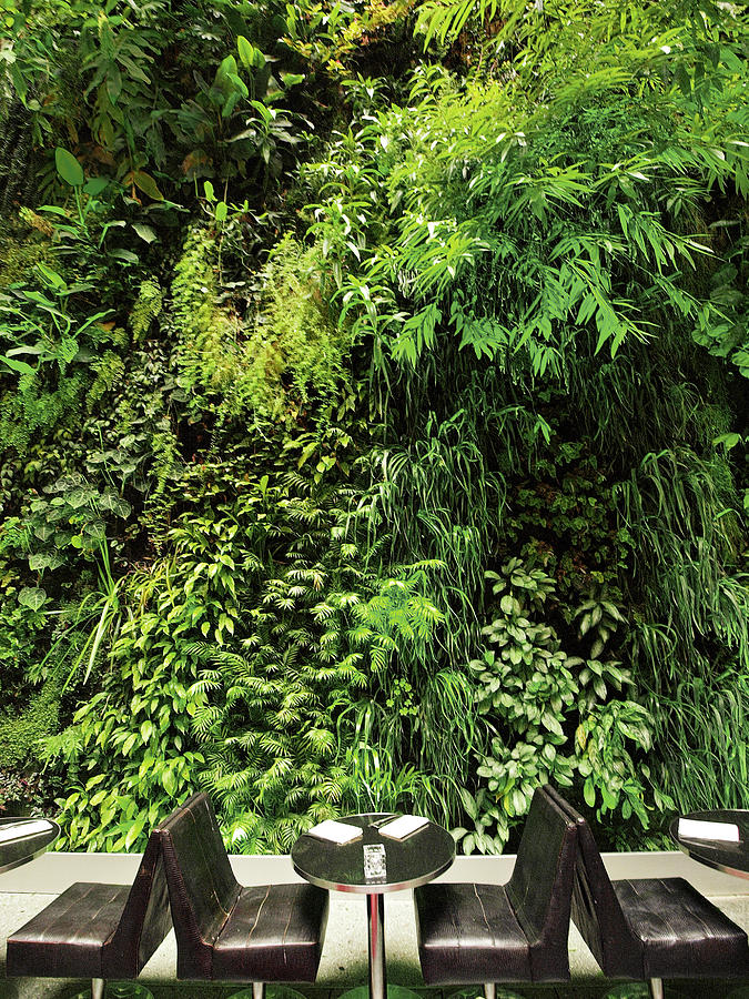 Summer Photograph - Pershing Hall Restaurant With Plant Wall, Paris, France by Jalag / Marion Beckhuser