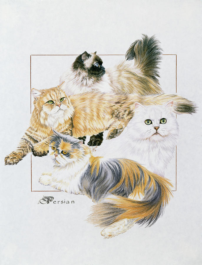 Cat Painting - Persian by Barbara Keith