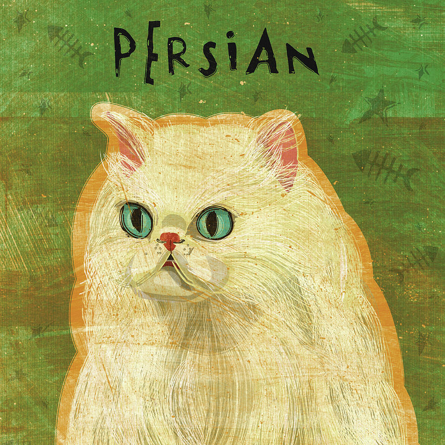 Animal Digital Art - Persian by John W. Golden