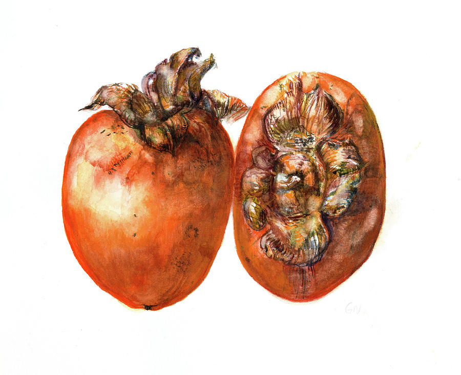 Persimmon  Painting by Gloria Newlan