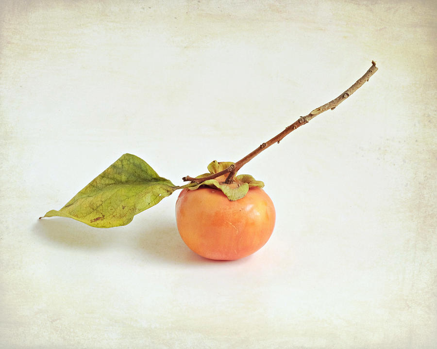 Persimmon on White Photograph by Lupen Grainne