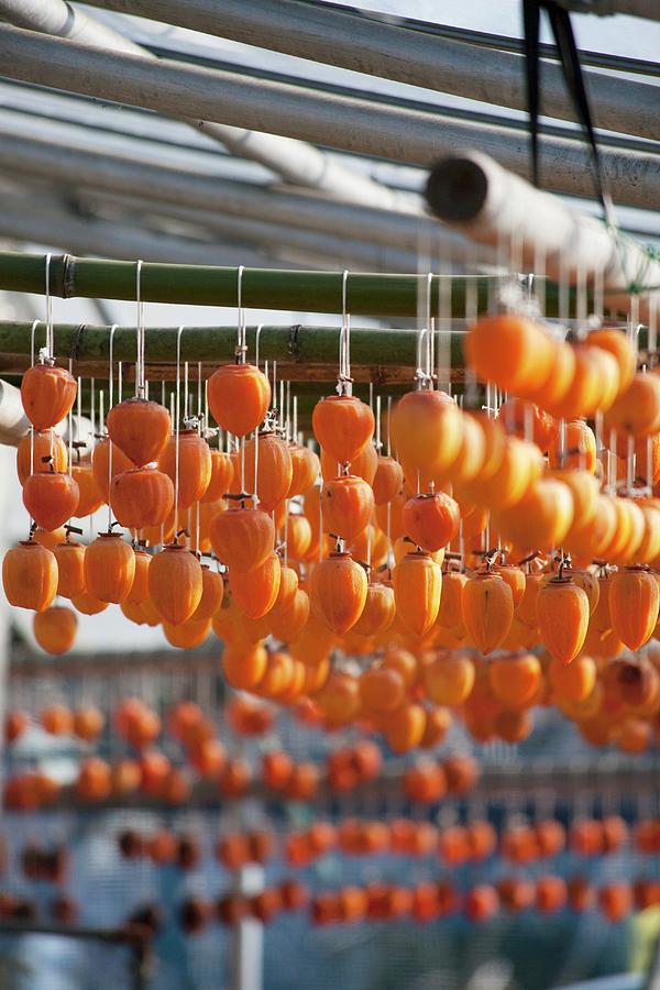 Persimmons Hung Out To Dry japan Photograph by Martina Schindler