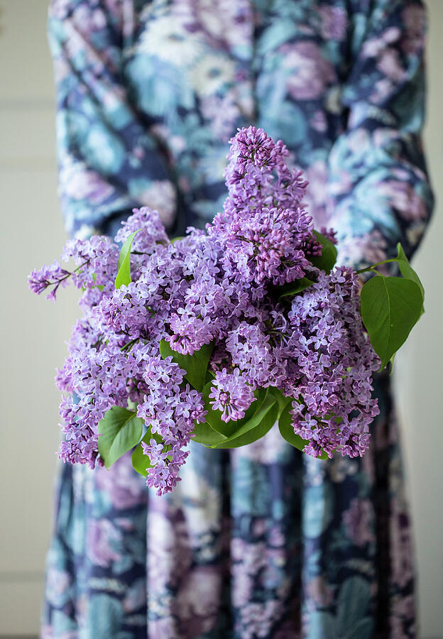 Flower Photograph - Person In Floral Dress Holding A Bunch Of Purple Lilac Flowers by Tamsyn Narratives / Morgans