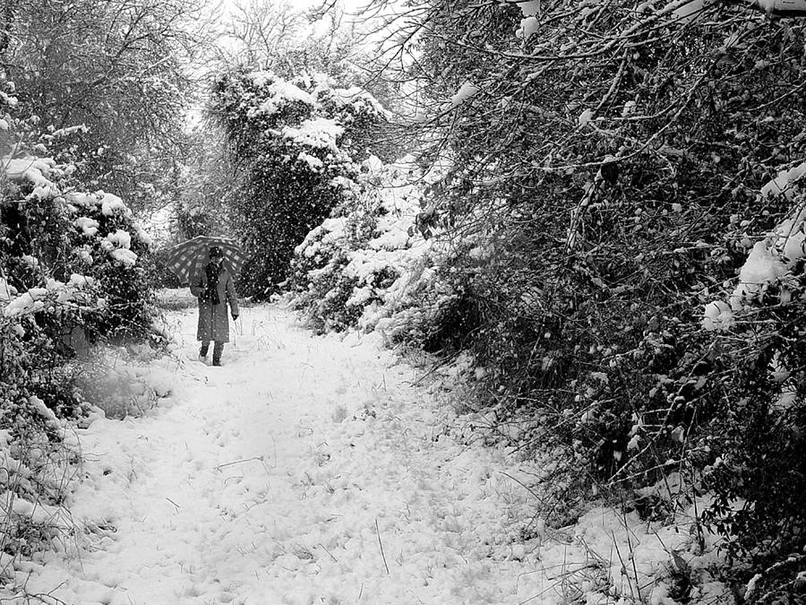 Person Walking In Snow Photograph by Flickr.com/photos/txanoduna/