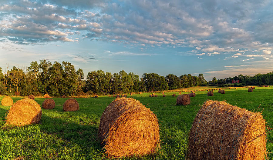 Piersons Farm Hay Bales Photograph by Angelo Marcialis