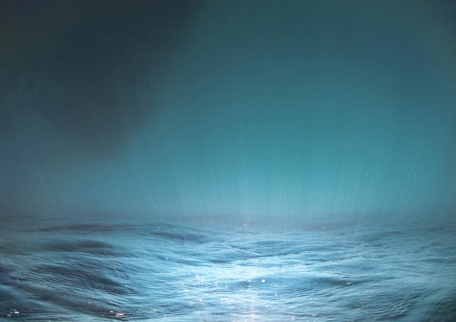 Underwater Photograph - Perspective by Alex Pilgrim