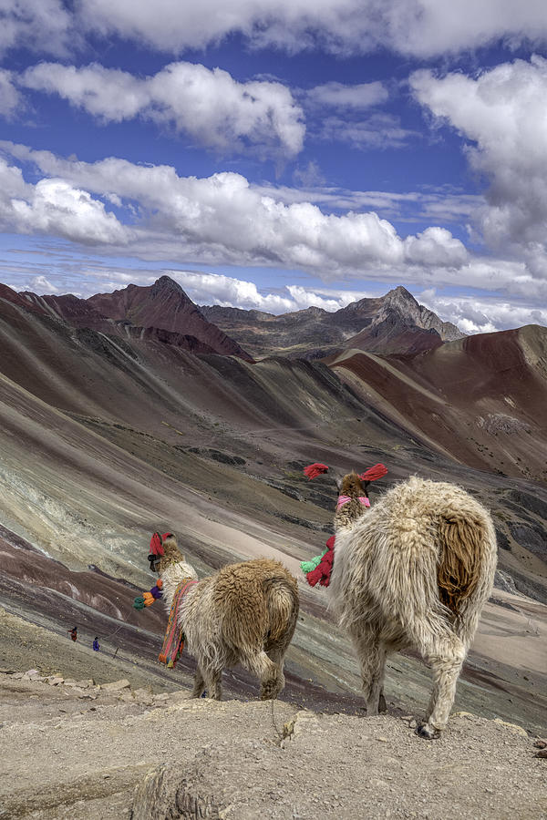 Mountain Photograph - Peru by Benny Gross