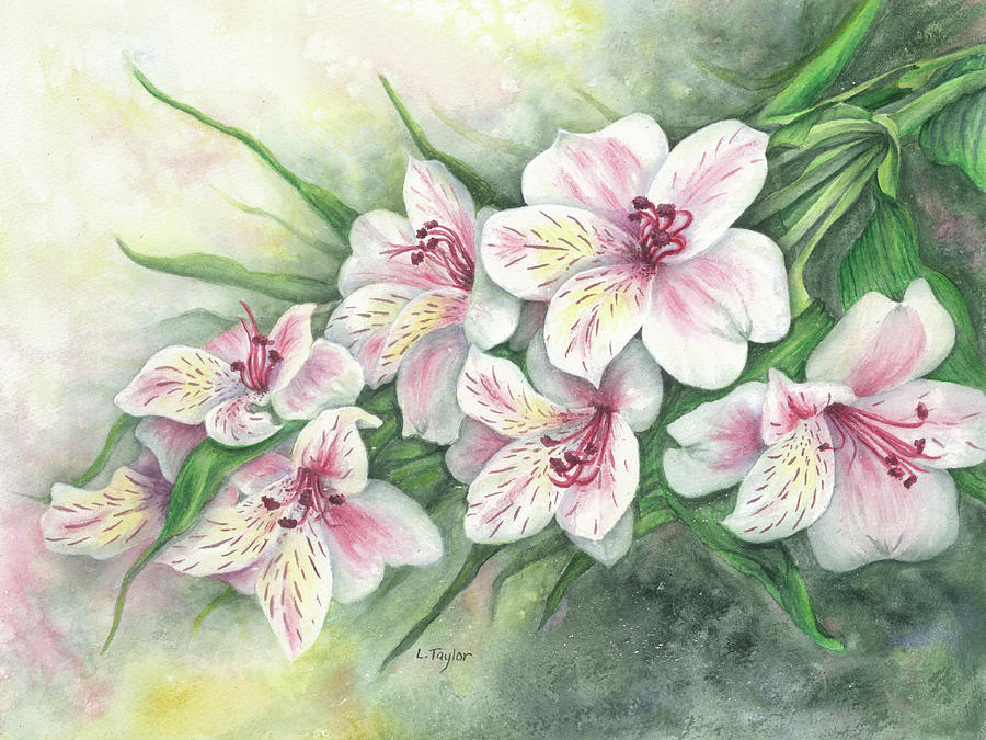 Peruvian Lilies Painting by Lori Taylor