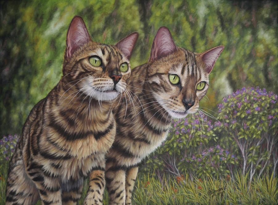 Animal Painting - Pet Portrait Of Albus And Boo The Bengal Cats by Steve Crockett