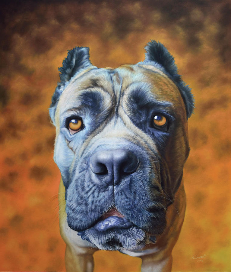 Portrait Painting - Pet Portrait Of Mario The Cane Corso by Steve Crockett