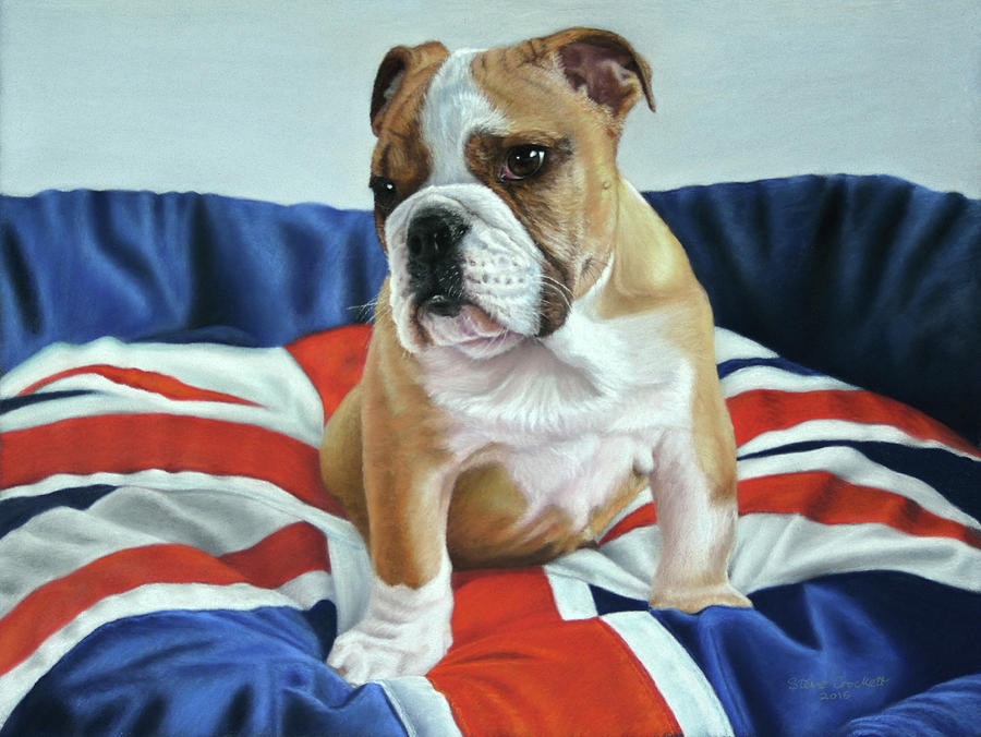 Portrait Painting - Pet Portrait Of Winston The British Bulldog by Steve Crockett