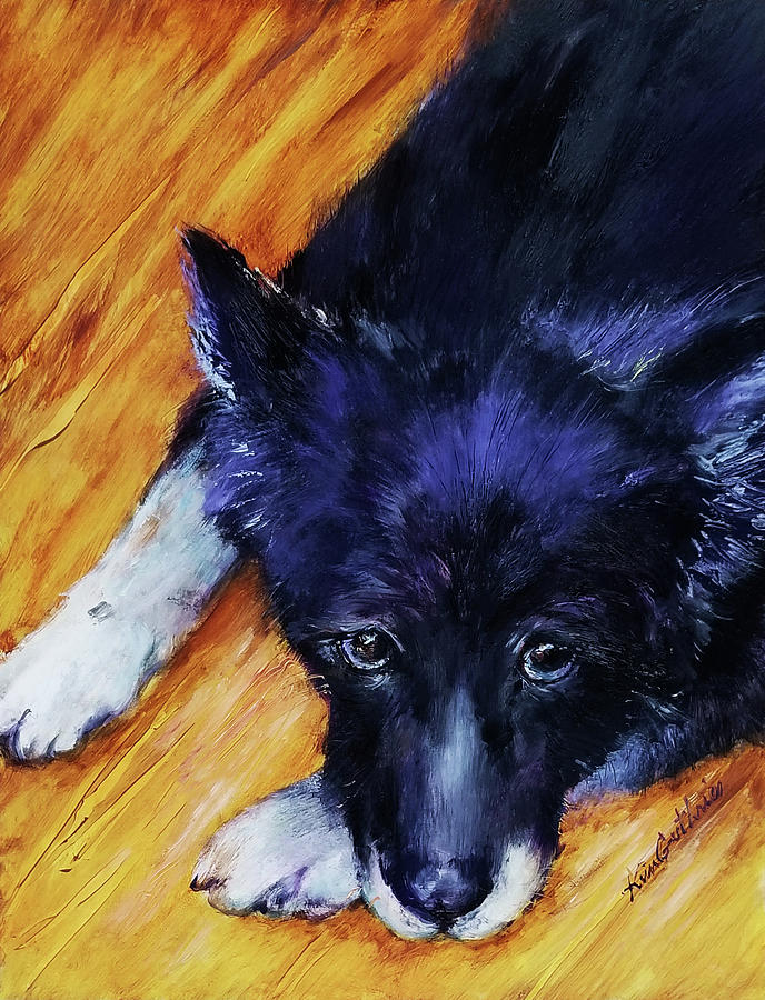 Pet Portrait Border Collie Painting by Kim Guthrie | Fine Art America