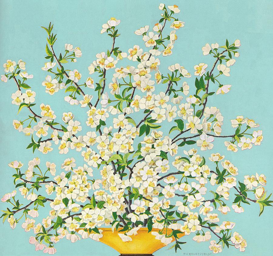 Petaled Cherry Blossoms Drawing by P.w. Kruetzfeldt