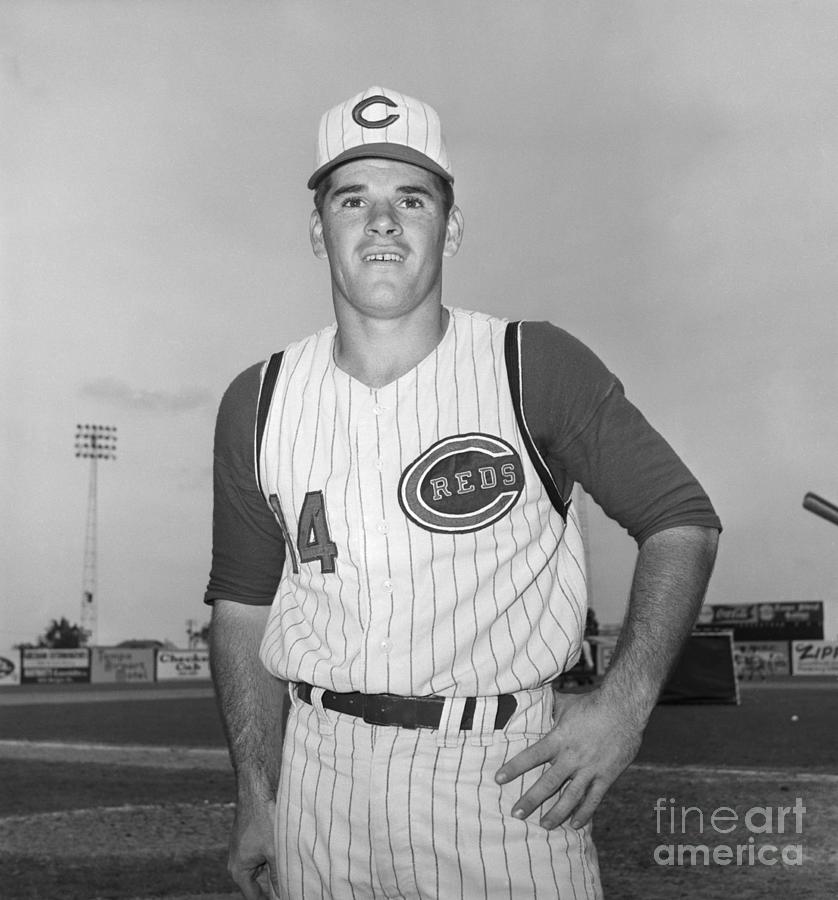 Pete Rose Poses In Uniform On Field Photograph by Bettmann
